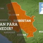Sırbistan Para Birimi Nedir?
