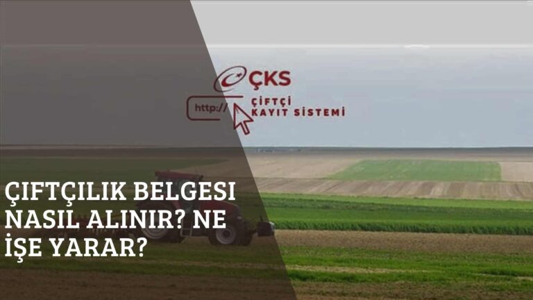 Çiftçilik Belgesi Nasıl Alınır? Ne İşe Yarar?